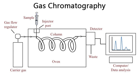 Gass chromatographs