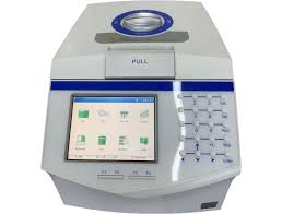 PCR thermal cyclers