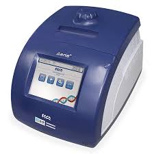 PCR thermal cyclers
